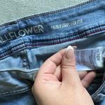 Wall Flower  Jeans Curvy Photo 1