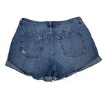 We The Free Women's 31 Curvy Distressed Button Fly Denim Jean Short Photo 1
