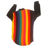 EXPRESS Vtg 80s Rainbow Stripe Sheer Button Up Top Lrg Dopamine Pop Art Festival Photo 1