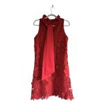 Tuckernuck Blythe Mini Dress Red Guipure Lace size S Holidays Christmas Chic Photo 4