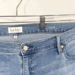 Nicole Miller  Plus Size 20 High Rise Skinny Jeans Floral Embroidered Raw Hem 677 Photo 3