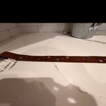 Free People  Rose Bud Stud Belt in Brown Photo 4