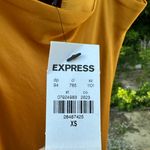 EXPRESS Gold Maxi Slip Dress Photo 2