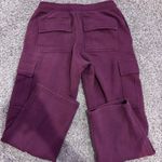 Aritzia  Cargo Sweatpants Photo 1