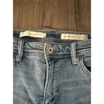 Pilcro and the Letterpress ANTHROPOLOGY Slim Boyfriend Jeans Size 28 Distressed Photo 2