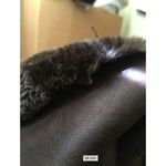 Olivia Miller  Women's Faux Fur Lined Boots Winter Cuffed Size 7 Brown Photo 2