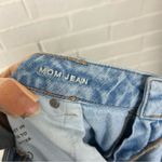 American Eagle  Strigid Mom Jean Size 18 Regular Photo 2