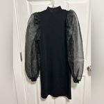 Lea & Viola  Black Dress with Sheer Sleeves Photo 5