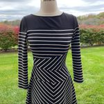 BCBGMAXAZRIA BCBG Black/White Koryn Striped Dress Photo 6