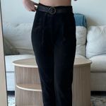 Aritzia Babaton Cropped Pants Photo 0
