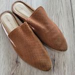 Very Volatile Mesquite perforated slide size 8 Photo 0