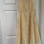 Pamela Love x Rent the Runway Antique Lace Dress Size Large Sleeveless Girly Photo 7