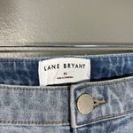 Lane Bryant NWT Coquette Embroidered Boyfriend Capri Jeans - 26 - Women's Plus Photo 5