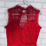 Lovers + Friends  Blush Lace Mini Dress in Poppy Red Size XS Photo 6