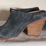 Charles by Charles David Charles David Nico Blue Teal Suede Mules Photo 7