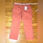 Gloria Vanderbilt Gloria Vanderbilt- Women's Amanda Classic High Rise Tapered Jean Size 16 Photo 2