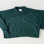 Pistola  Denim Adina Sweater Green Alpaca Wool Blend Knit XL Photo 5