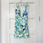 Sabo Skirt Deep Plunging Dress Photo 4