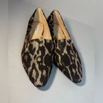 Alex Marie NEW   rhinestone leopard print loafers.size 6.5 Photo 4