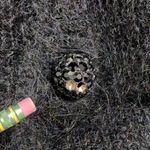 Jennifer Reed Vintage VTG Black Hand Knitted Cardigan Mohair Acrylic Size M Size M Photo 5