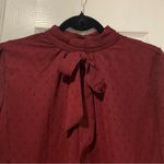 NWT Aconiya Size M Burgundy Swiss Dot Chiffon Lined High Neck Bow Lined Top Red Size M Photo 1