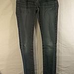 Daytrip Lynx Skinny Jeans Size 24R Photo 0