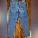 American Eagle Outfitters Mom Jeans Photo 3
