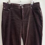 Charter Club Classic Fit Women's Dark Brown/Chocolate Corduroy Jeans, Size 8 Photo 1