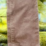 Universal Threads Women’s Universal Thread brown corduroy high rise skinny jeans size 00 Photo 1