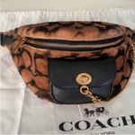 Coach X Jennifer Lopez Chain Belt Bag In Signature Shearling Photo 7