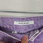 PacSun womens size 30 baggy carpenter lilac jeans purple wide leg basic grunge Photo 1