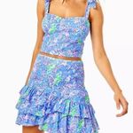 Lilly Pulitzer Rosalie skirt set blue peri the turtle package Photo 0