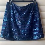 EXPRESS Sequin Skirt size M, Stretchy, pull up, lining skirt under, Mini High Style A-Line Hip Skirt Party, Holidays , new with tag. 15” length Photo 0