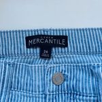 J.Crew Mercantile Blue & White Striped High Rise Ankle Skinny Jeans Photo 11
