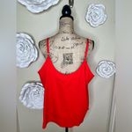 The Limited NWT  Red with Black Crochet Detailing Camisole, Brand New, Size 1X Photo 9