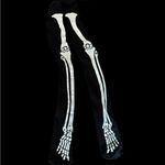 Black Skeleton Print Tights Halloween Photo 3
