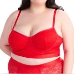 Parade Underwear NWT - Lace Bustier. Photo 0