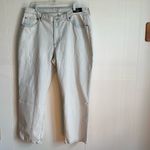 Abercrombie & Fitch  Curve Love The Baggy Mid Rise Jeans Size 34 Photo 7