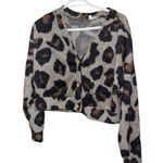 Gaze Black and Brown Cardigan Sweater with Relaxed Fit Photo 0