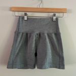 Alphalete R6 Revival Shorts Grey Photo 2