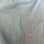 Brandy Melville  John Galt Blue Striped Tank Top Photo 8