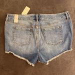 Torrid 3.5 Short HRMSA Button Fly Denim Jean Shorts Raw Hem Photo 3