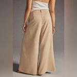 Anthropologie NWT Amadi Pleated Wide Leg Trousers Pants Size XL Petite Photo 3