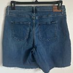 Calvin Klein Jeans Calvin Klein Repreve Jeans Denim Shorts size 12 Photo 1