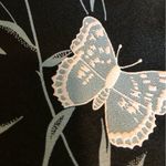 Devine Bkack dress with butterfly print design(textured)grayish blue, cap sleeve Black Size 0 Photo 2