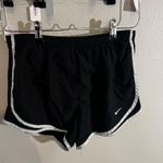 Nike  Dry-Fit Shorts Photo 0