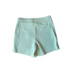 Alphalete Essential Core Shorts In Frozen Spring/Mint Green Photo 2