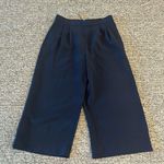 J.Crew NWT Petite Wide Leg Crop Pants Sz 10P Photo 0