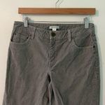 Garnet Hill  Gray Essential Slim Five-Pocket Cords Corduroy Pants Photo 40