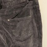 Anthropologie Marrakech  Dark Gray Velvet Skinny Pants with Zipper Leg Size 27 Photo 4